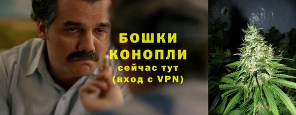 спайс Няндома