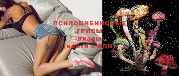 MDMA Premium VHQ Нязепетровск