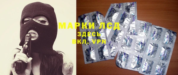 спайс Няндома