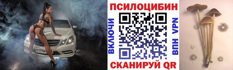 ОМГ ОМГ   Нахабино  Псилоцибиновые грибы Cubensis 